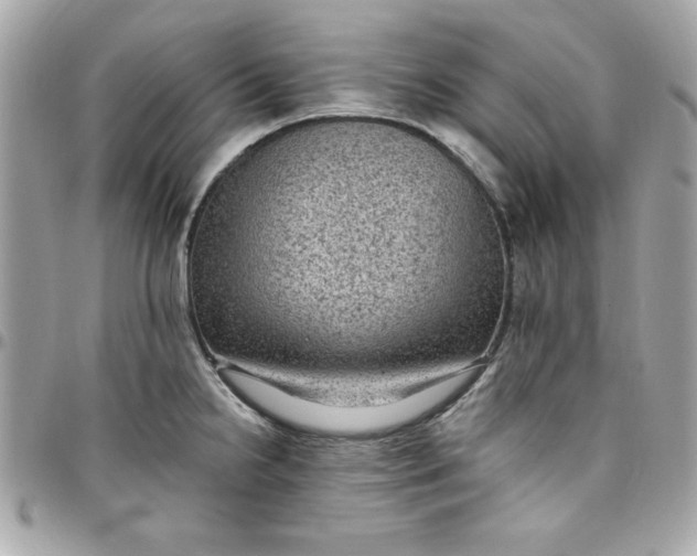 X0000097791238200803211814