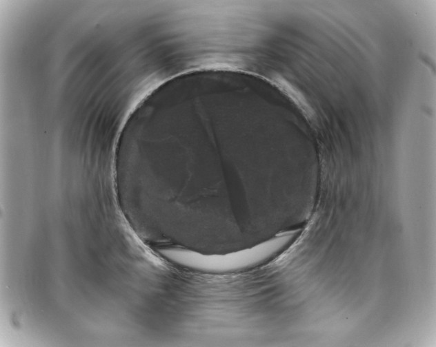 X0000097791240200803211814