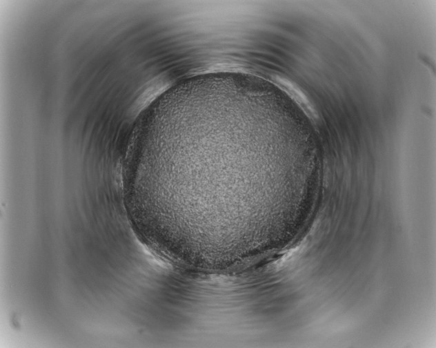 X0000097791241200803211814