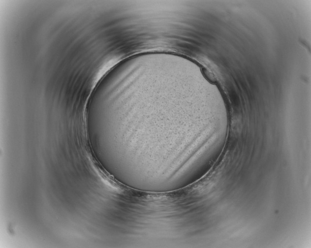 X0000097791242200803211814