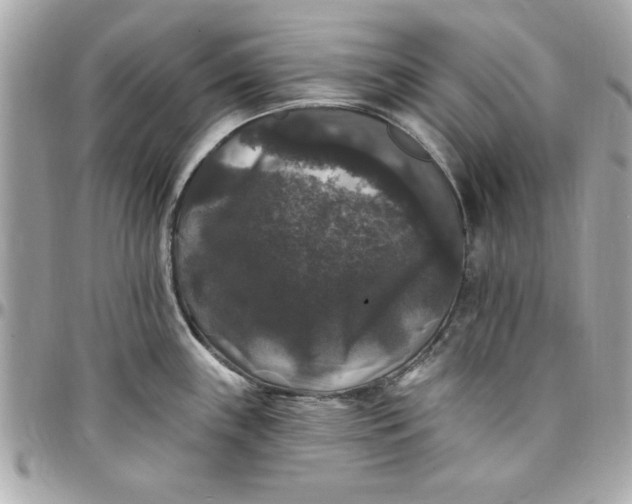 X0000097791243200803211814