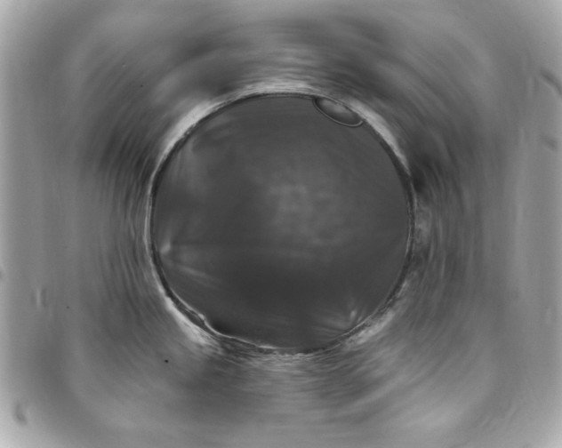X0000097791245200803211814