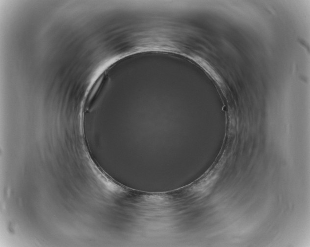 X0000097791246200803211814