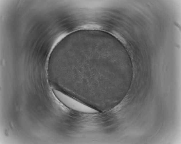 X0000097791248200803211814