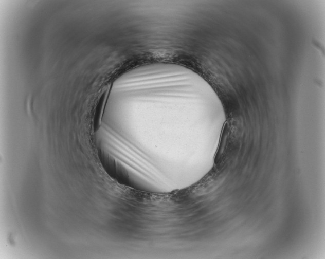 X0000097791249200803211813