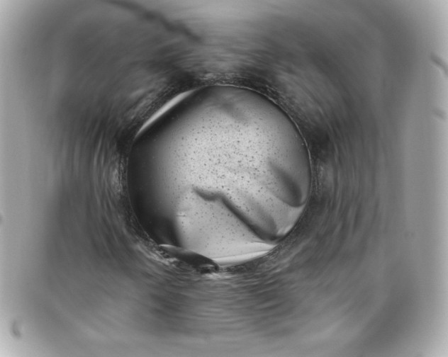 X0000097791250200803211813