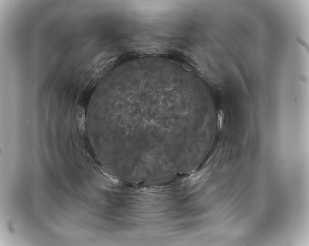 X0000097791251200803211813
