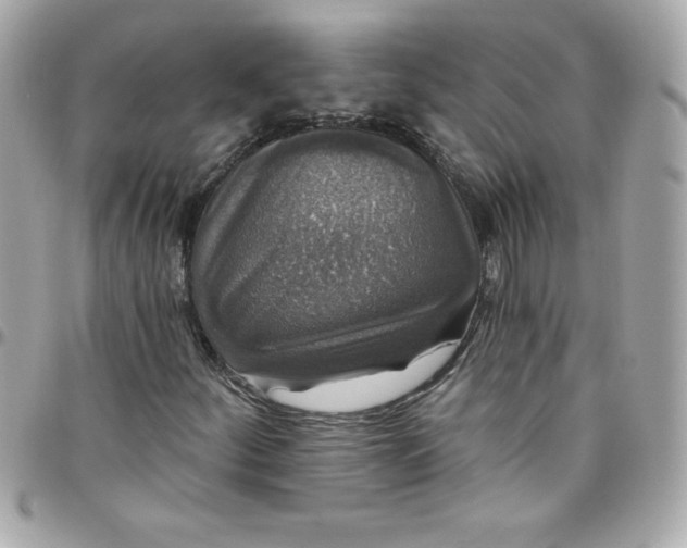 X0000097791252200803211813