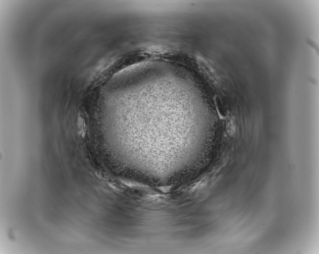 X0000097791253200803211813