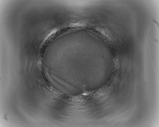X0000097791254200803211813