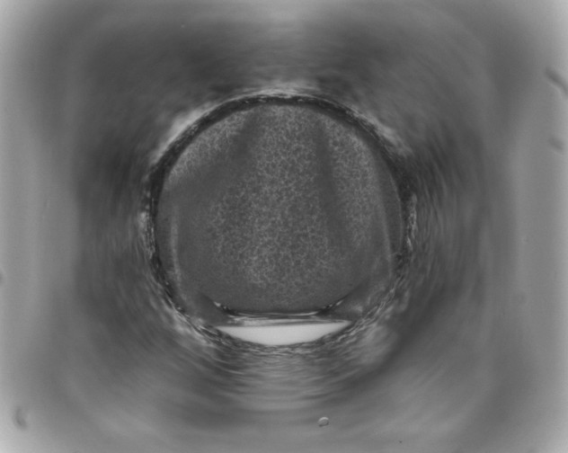 X0000097791256200803211813
