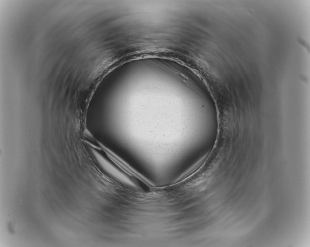 X0000097791257200803211813