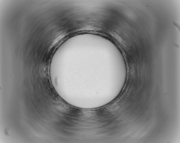 X0000097791258200803211813