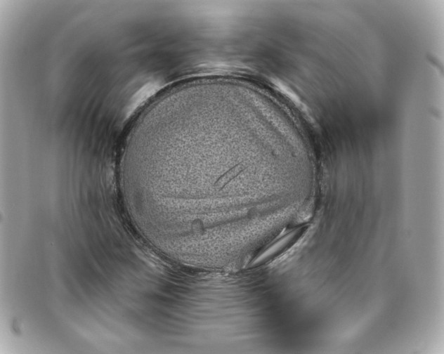 X0000097791259200803211813