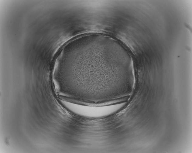 X0000097791260200803211813