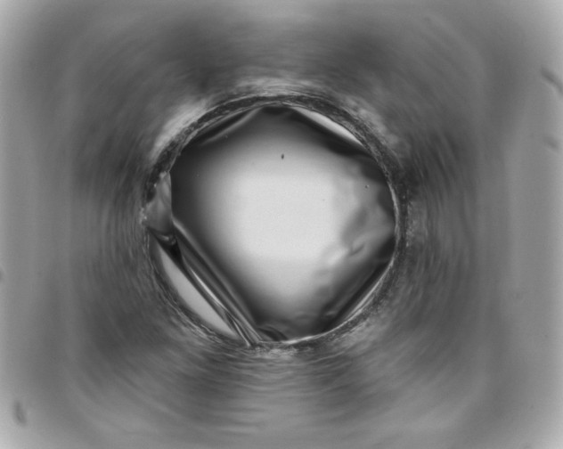 X0000097791261200803211813