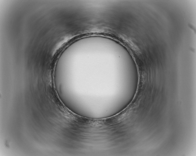 X0000097791262200803211813