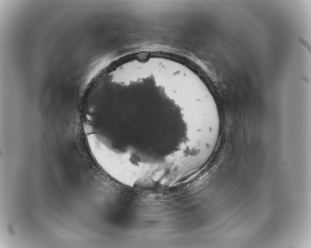 X0000097791263200803211813