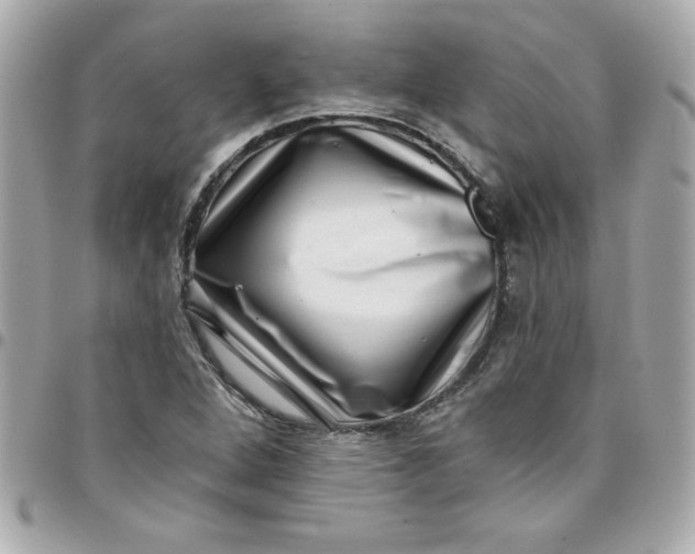 X0000097791264200803211813