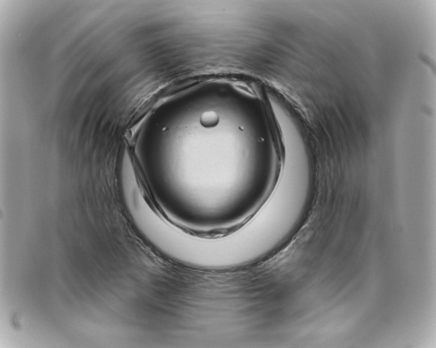 X0000097791265200803211813