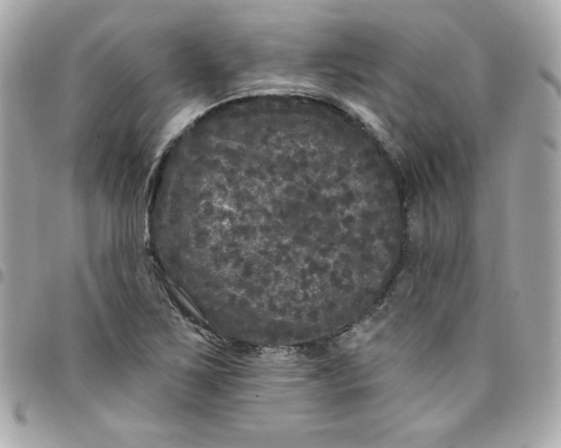 X0000097791267200803211813