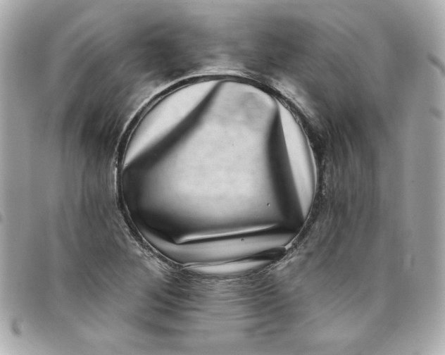 X0000097791268200803211813