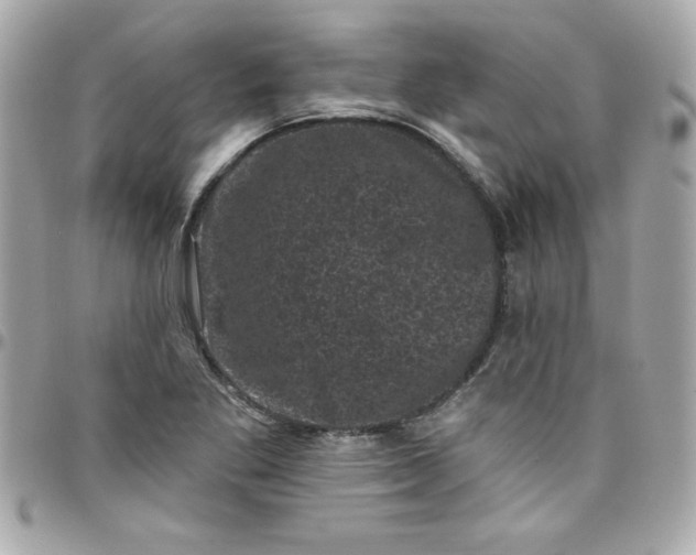 X0000097791269200803211813