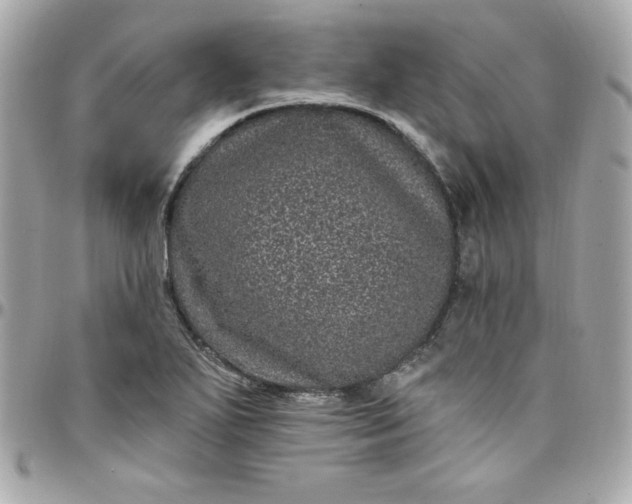 X0000097791271200803211813