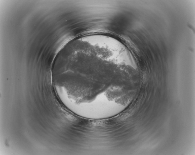 X0000097791274200803211813