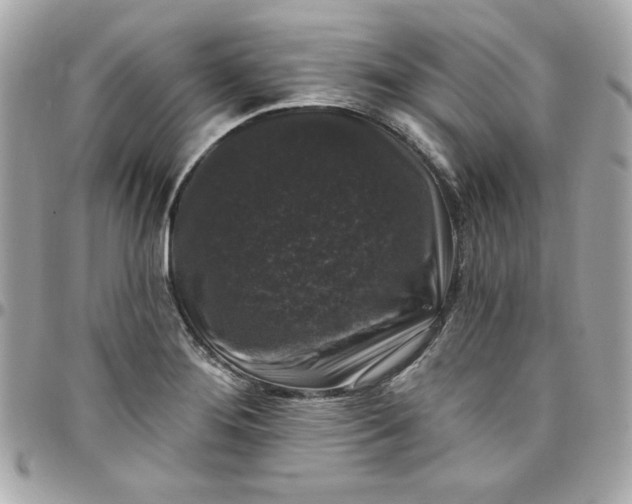 X0000097791276200803211813