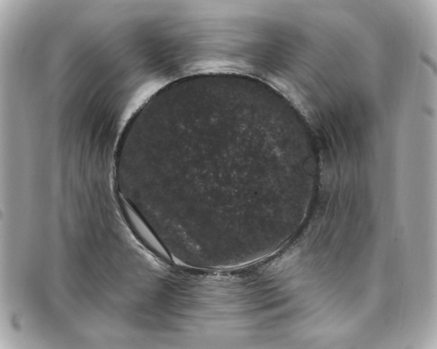 X0000097791277200803211813