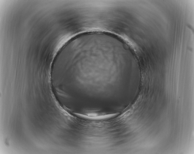 X0000097791279200803211812