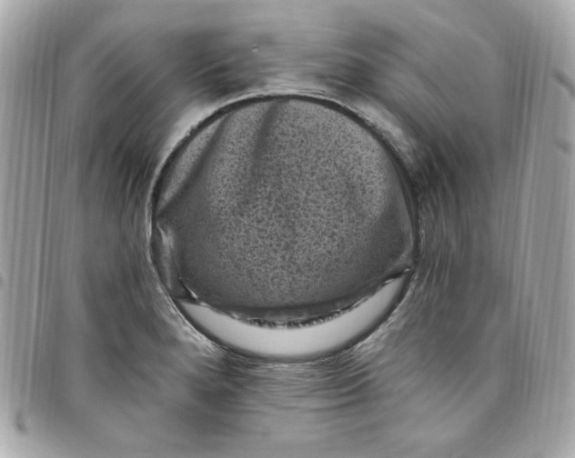 X0000097791280200803211812