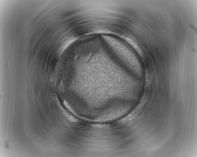 X0000097791281200803211812