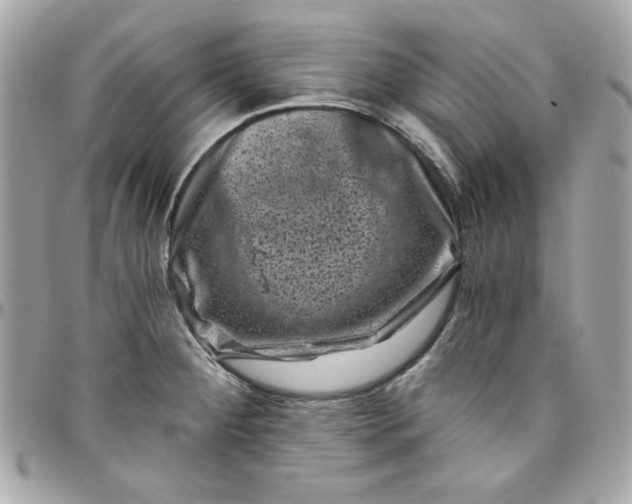 X0000097791284200803211812