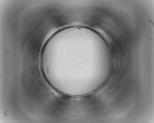 X0000097791286200803211812