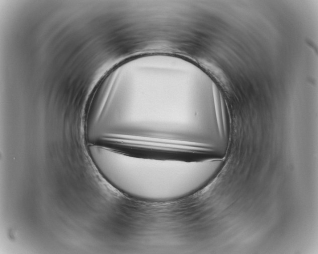 X0000097791288200803211812