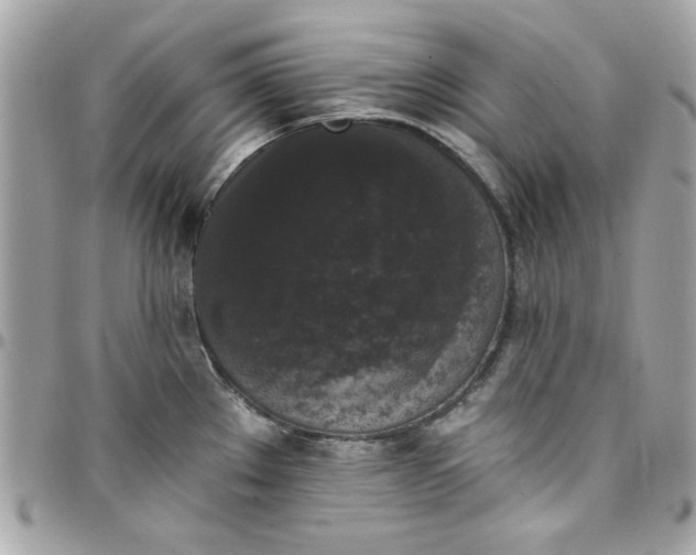 X0000097791289200803211812