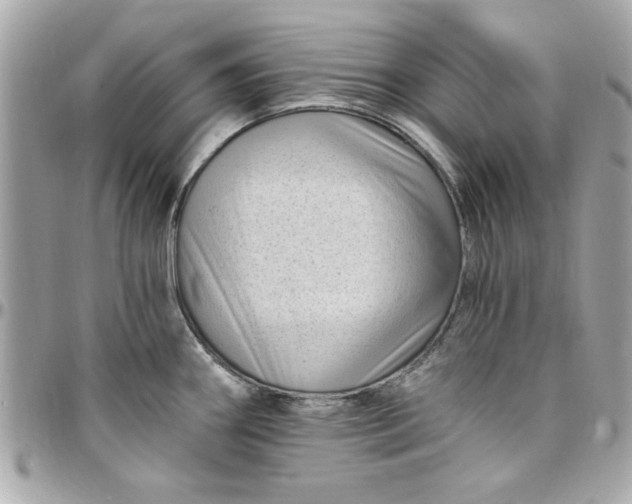 X0000097791290200803211812