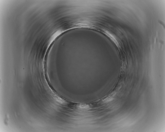 X0000097791291200803211812
