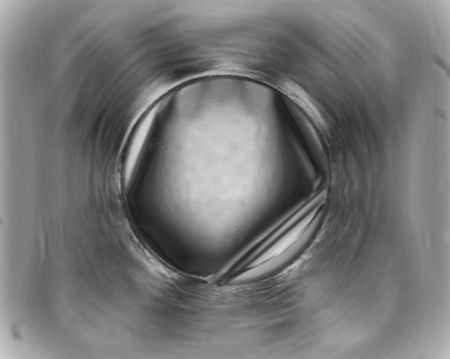 X0000097791292200803211812