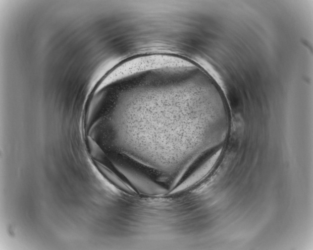 X0000097791293200803211812