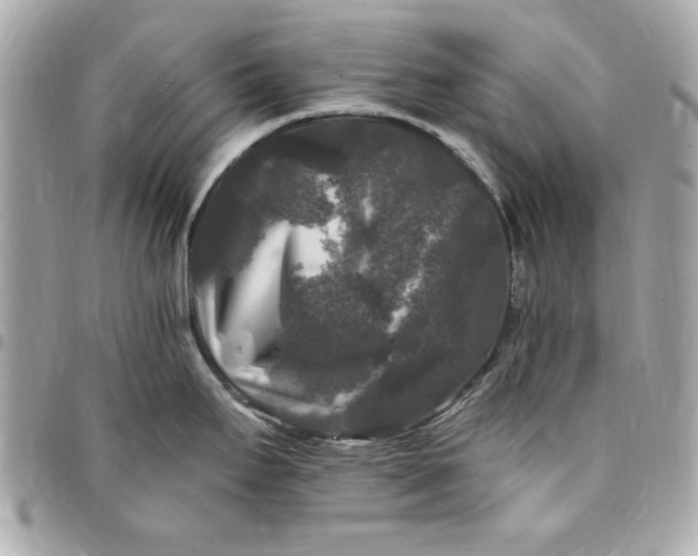 X0000097791295200803211812