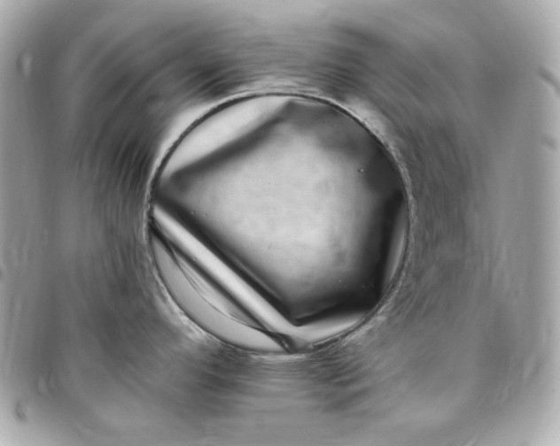 X0000097791296200803211812