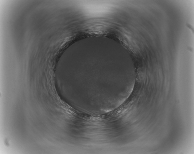 X0000097791297200803211812