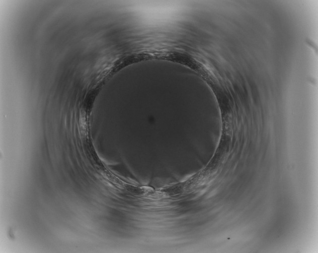 X0000097791298200803211812