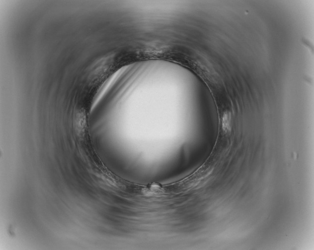 X0000097791299200803211812