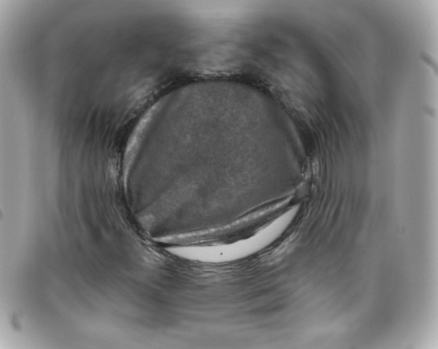 X0000097791300200803211812