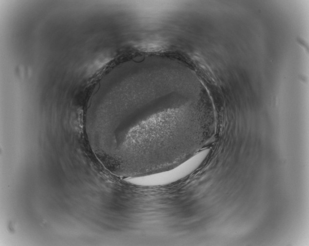 X0000097791301200803211812