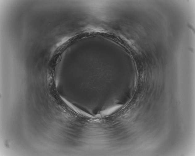 X0000097791303200803211812